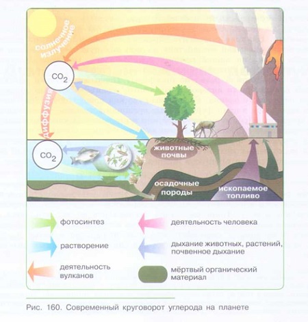 КРАТКАЯ ИСТОРИЯ ЭВОЛЮЦИИ БИОСФЕРЫ